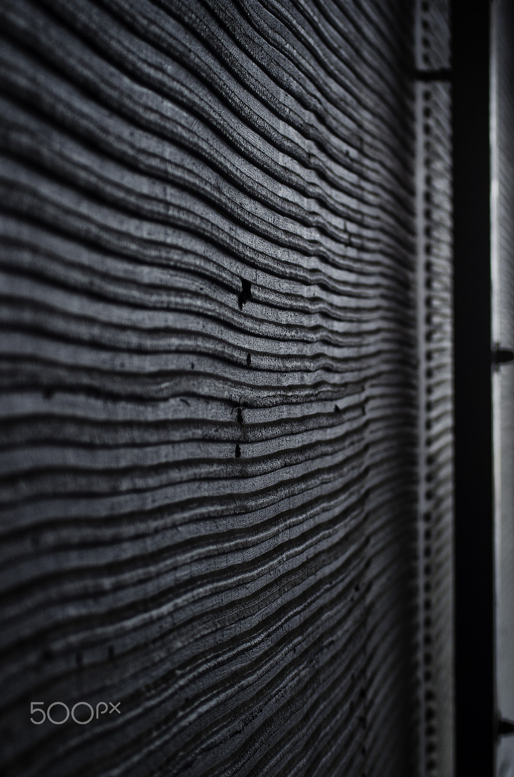 Nikon D7000 + Sigma 50mm F2.8 EX DG Macro sample photo. Peace of wall photography