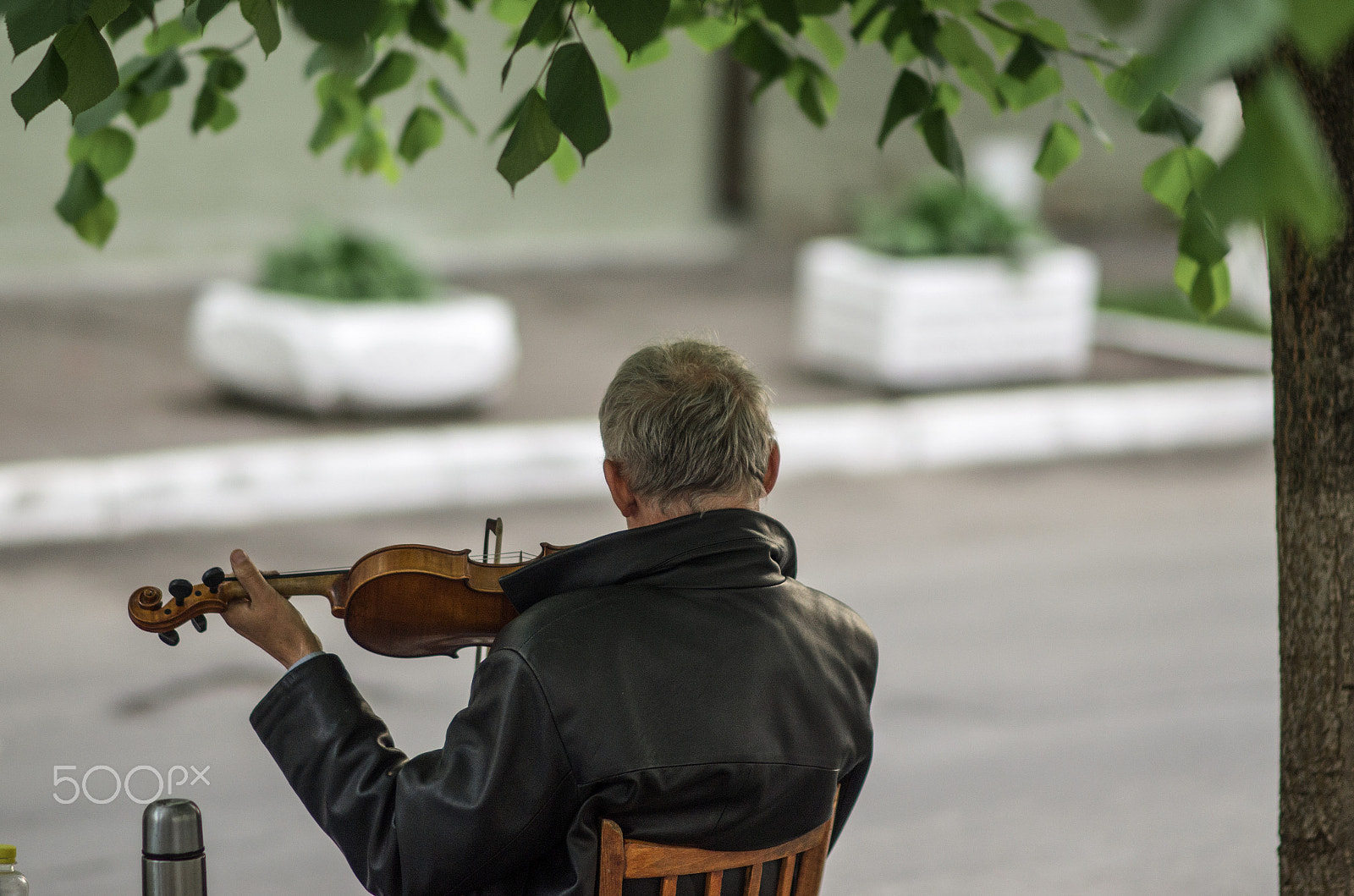 Nikon D7000 + Sigma 85mm F1.4 EX DG HSM sample photo. Street musician photography