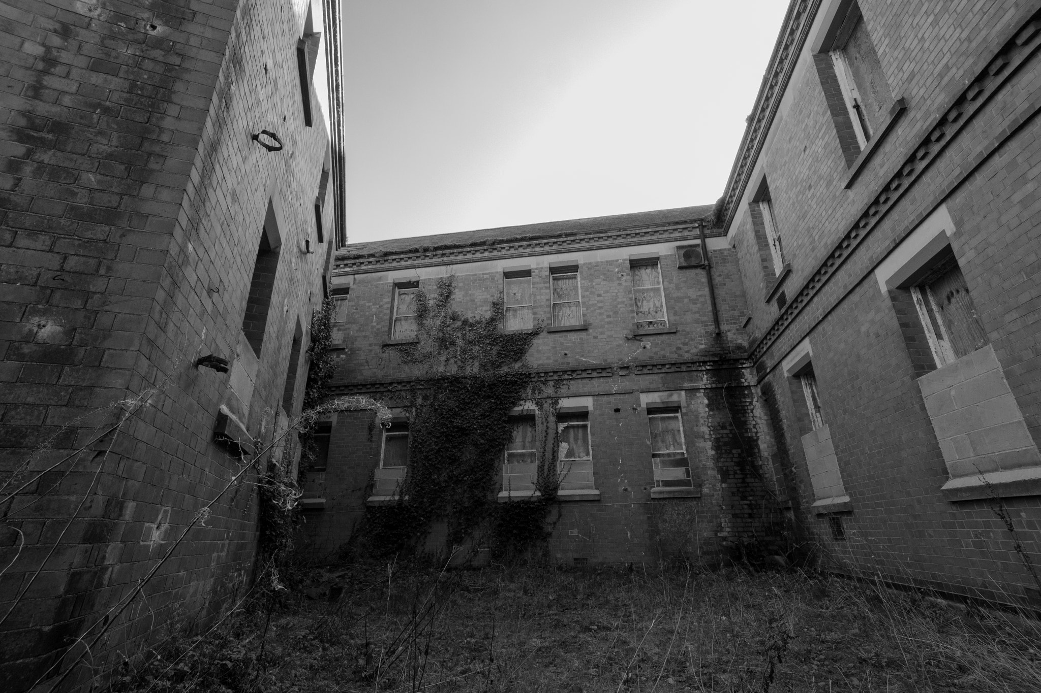 Sigma 10-20mm F4-5.6 EX DC HSM sample photo. Cornered photography