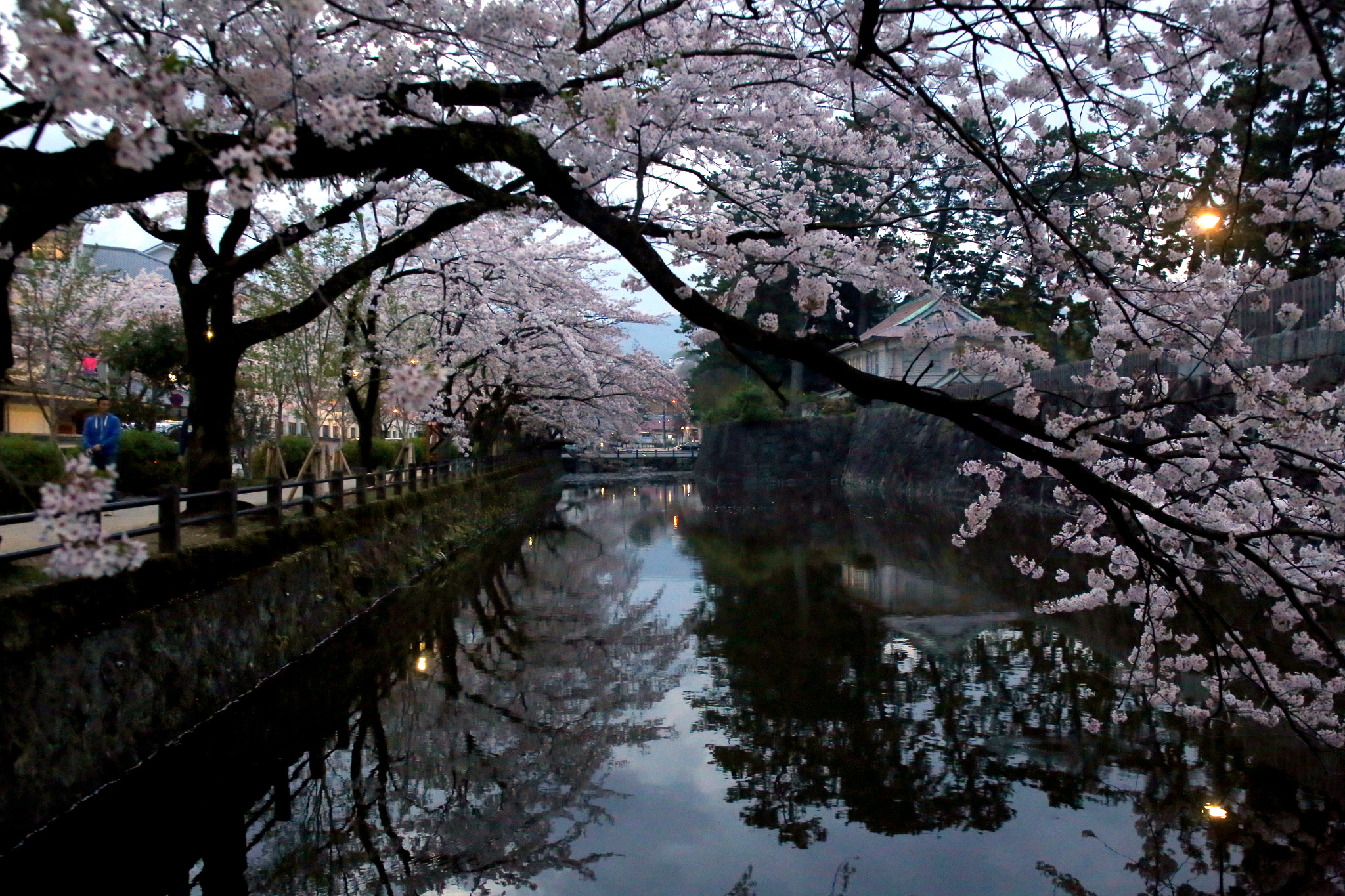 Canon EF 28-105mm f/3.5-4.5 USM sample photo. Moat under the cherry trees photography