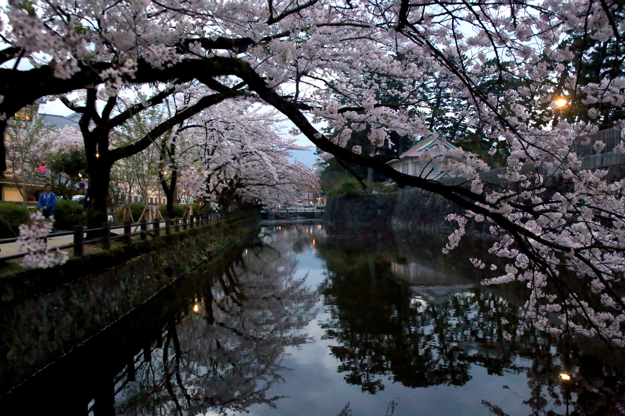 Canon EOS 6D + Canon EF 28-105mm f/3.5-4.5 USM sample photo. Moat under the cherry trees photography