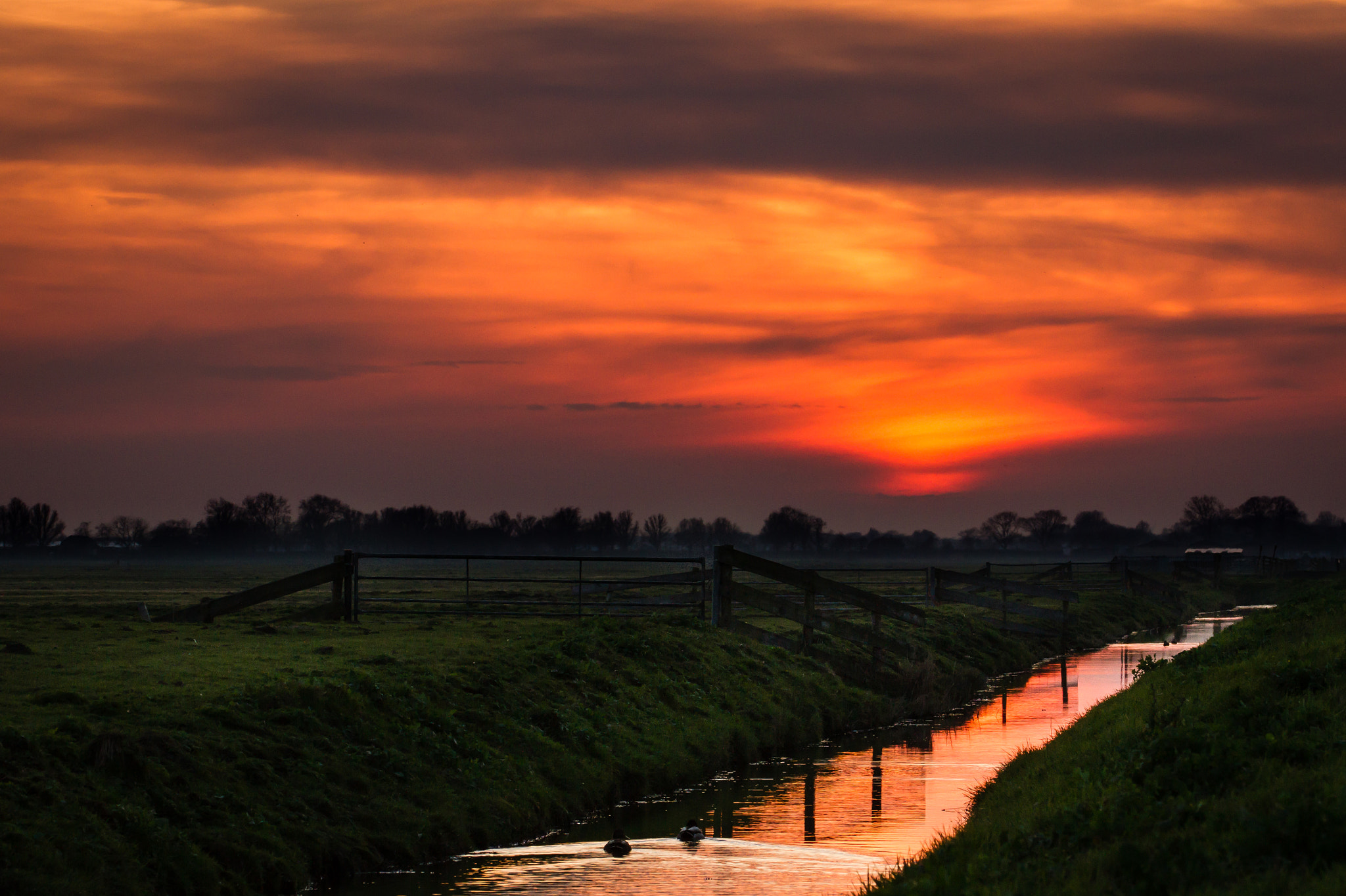 Canon EF 70-300mm F4-5.6L IS USM sample photo. Dutch sunset photography