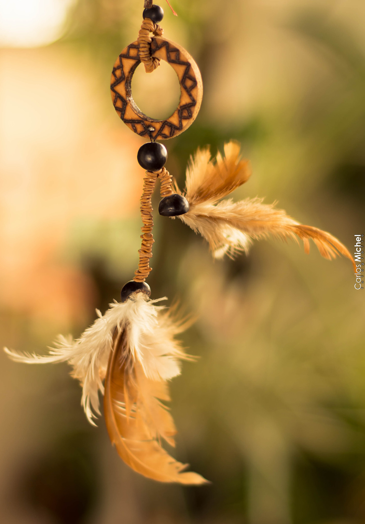 Nikon D5200 + Nikon AF Nikkor 50mm F1.8D sample photo. Sem título photography