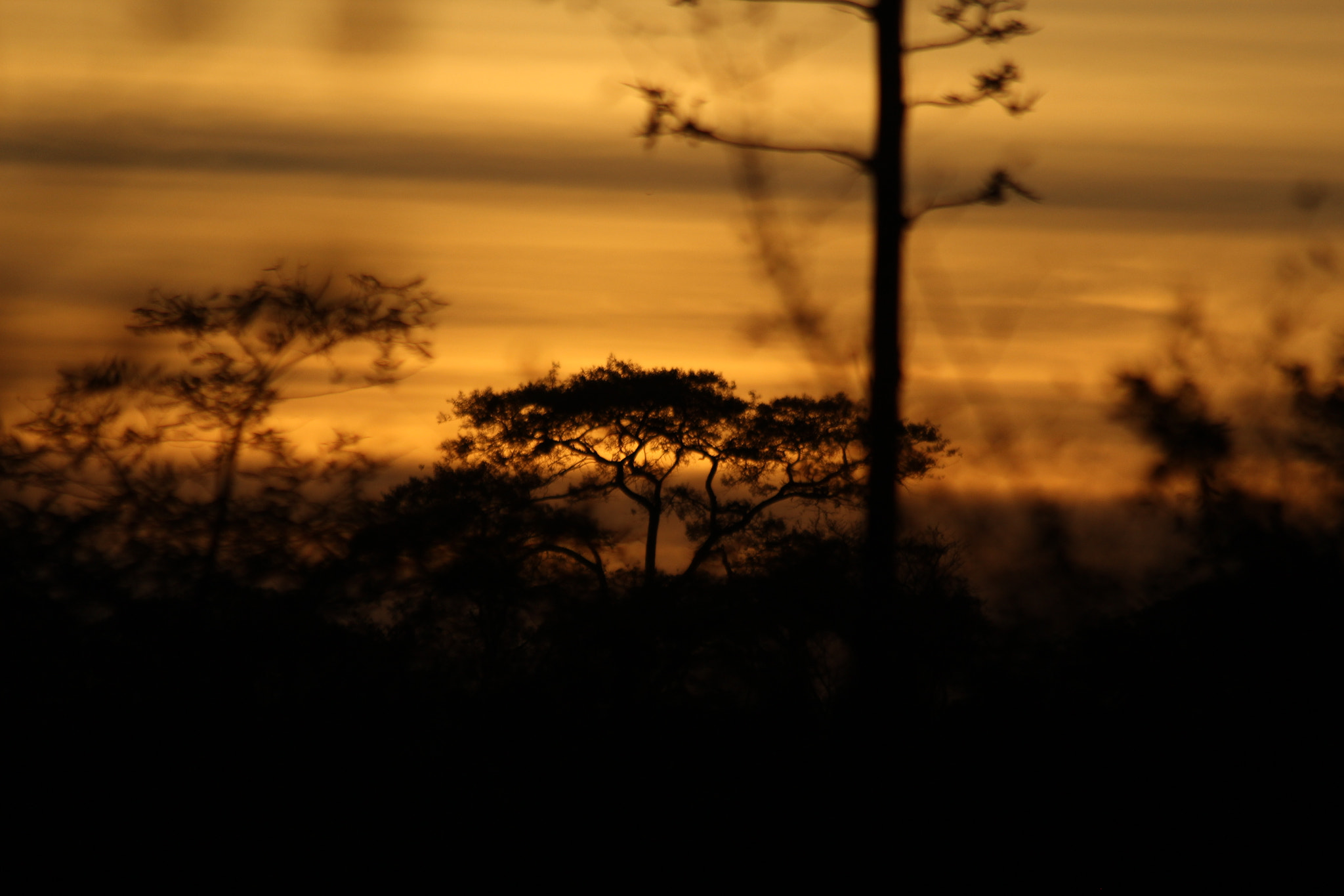 Canon EF 70-300mm F4-5.6 IS USM sample photo. #kenyaiknowabout  photography