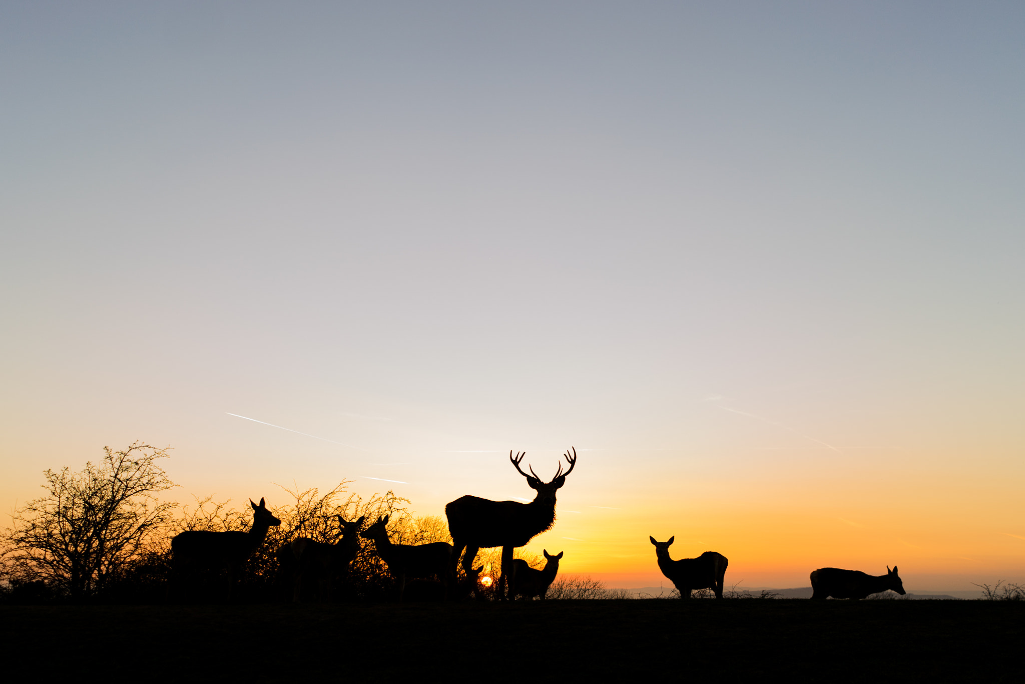 Sony a7 + Sony FE 28mm F2 sample photo. Deerset photography