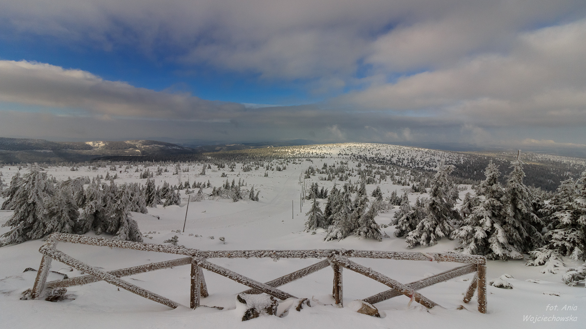 Canon EOS 600D (Rebel EOS T3i / EOS Kiss X5) sample photo. The last days of winter ... photography