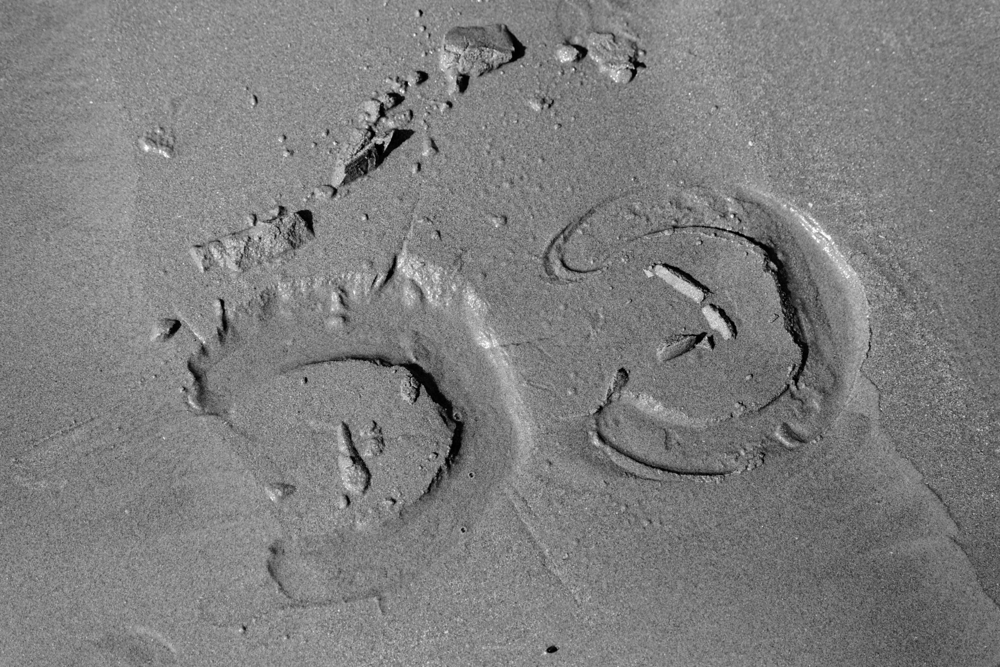 Nikon AF-S Nikkor 70-200mm F2.8G ED VR II sample photo. In sand photography