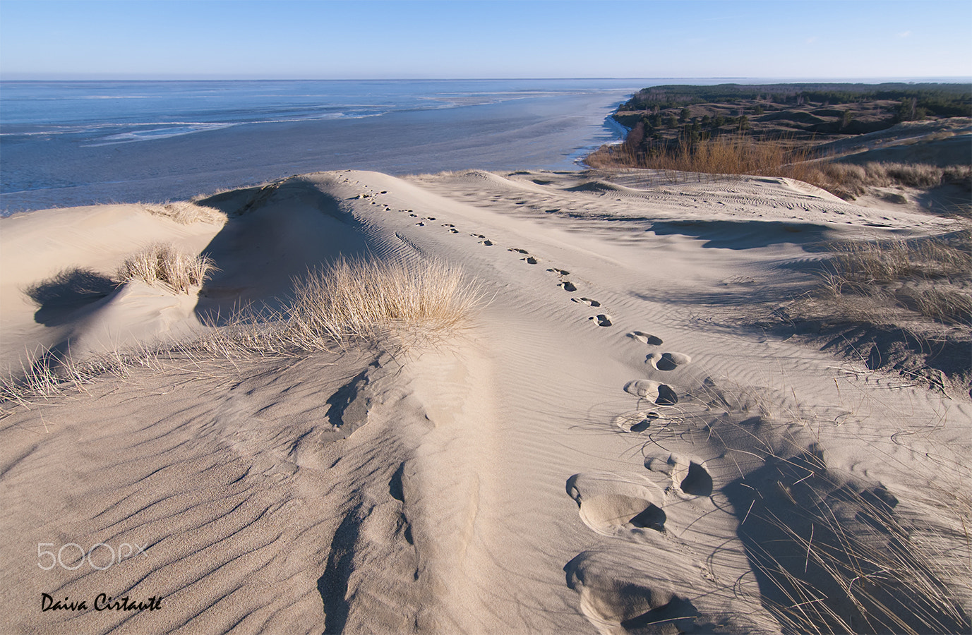 Tokina AT-X Pro 11-16mm F2.8 DX sample photo. Dead dunes photography