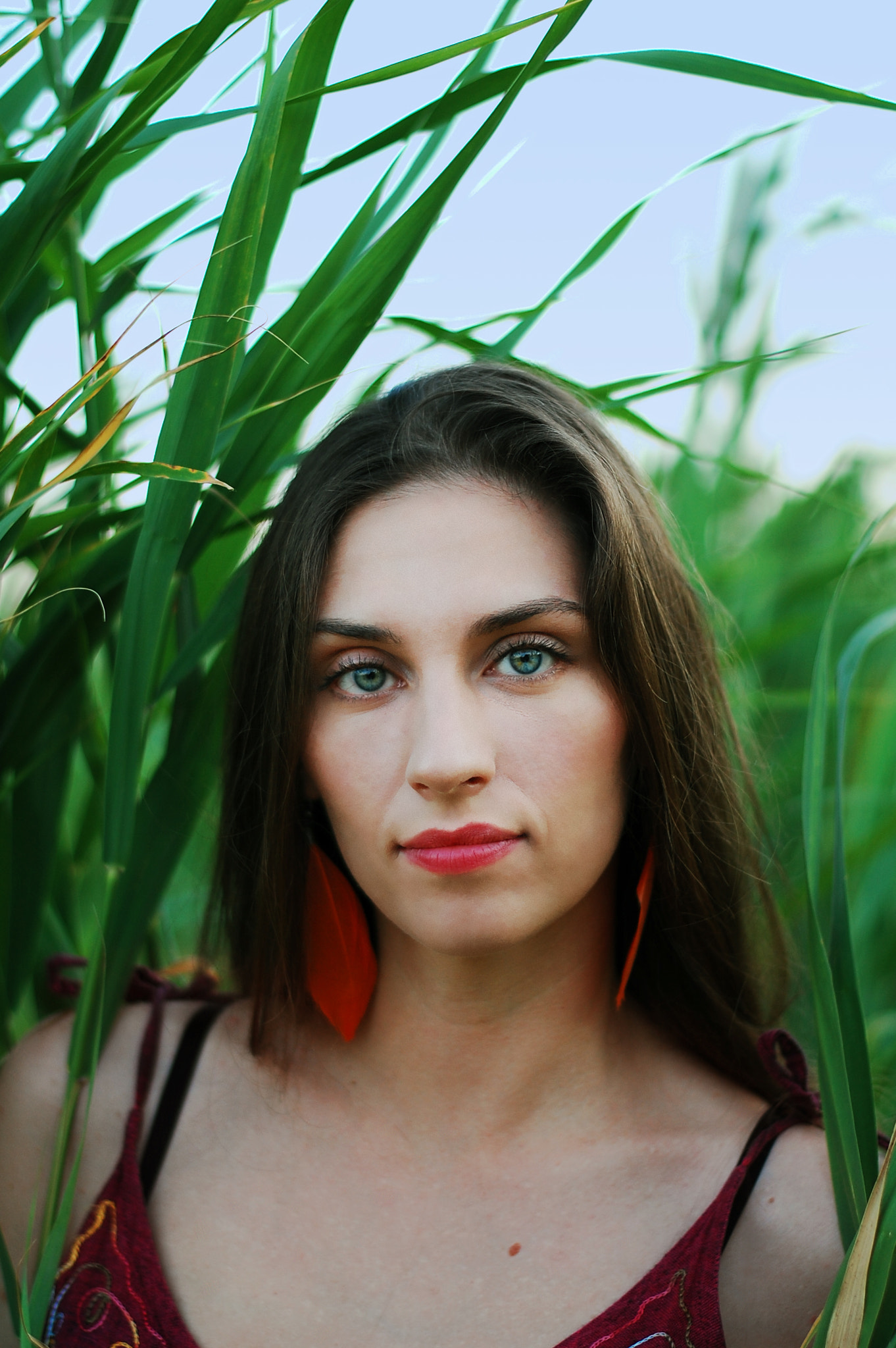 Nikon D40 + Nikon AF-S Nikkor 50mm F1.8G sample photo. Where wild things are photography