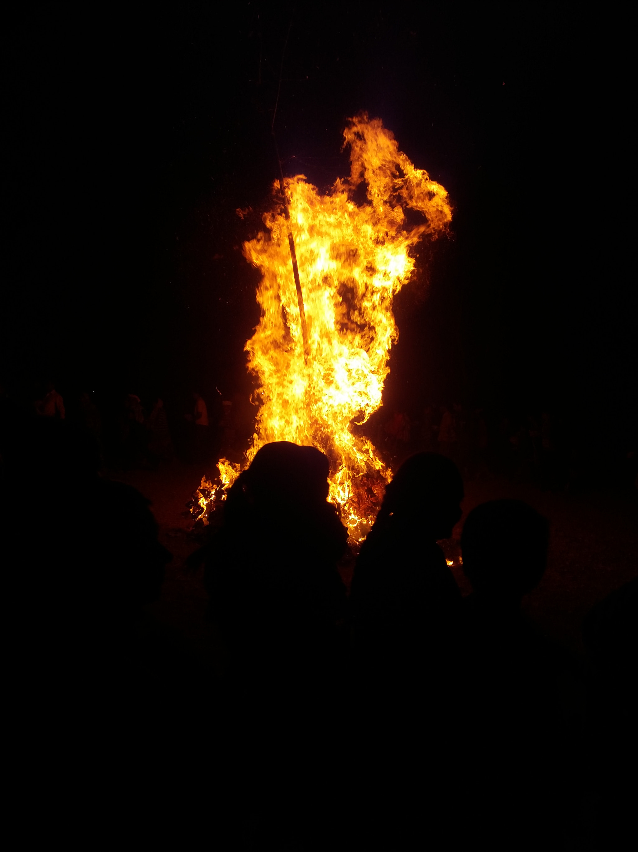 Samsung Galaxy E7 sample photo. Holi festival photography