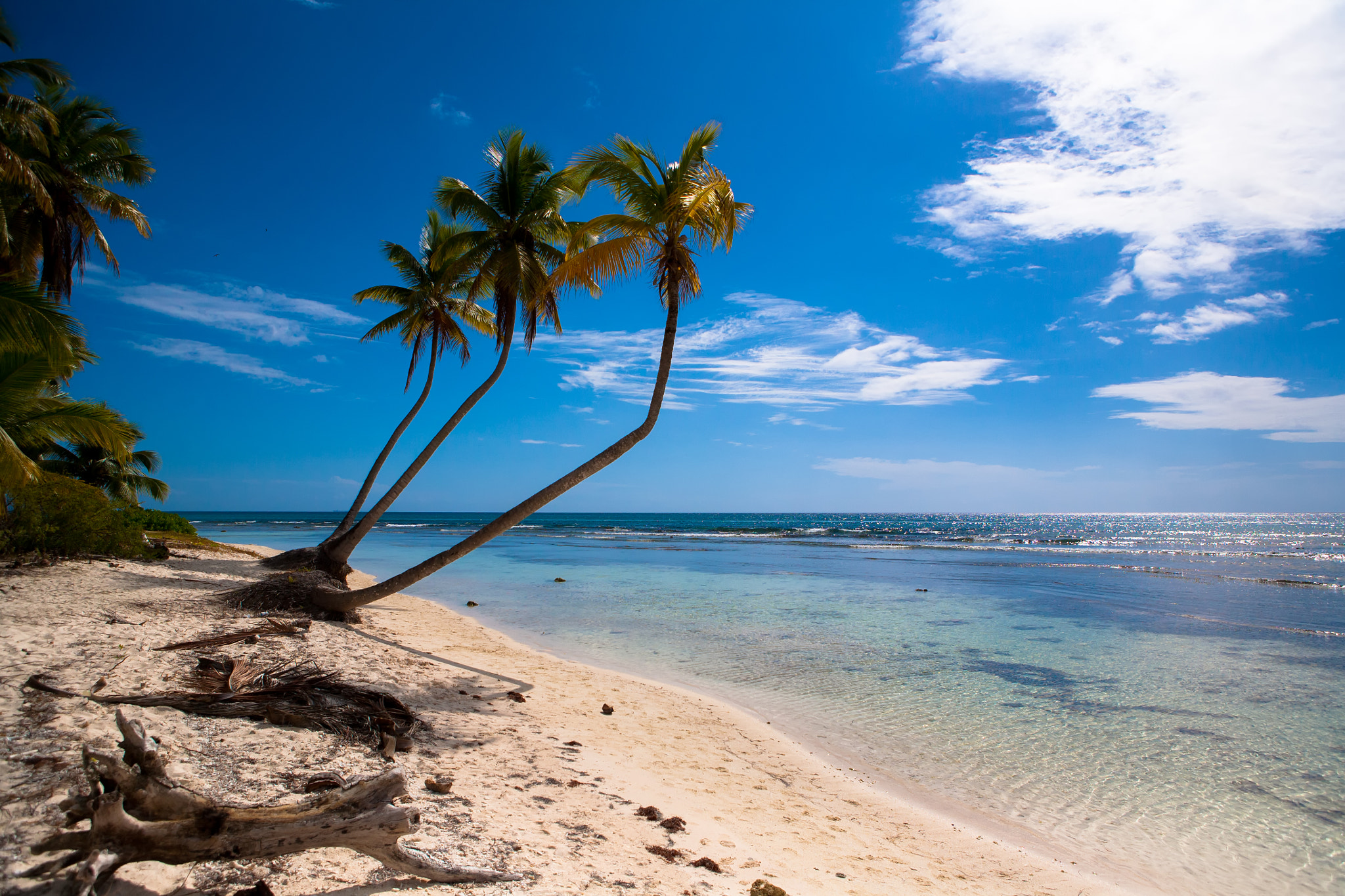 Canon EOS 5D + Canon EF 24-70mm F2.8L USM sample photo. Beach l photography