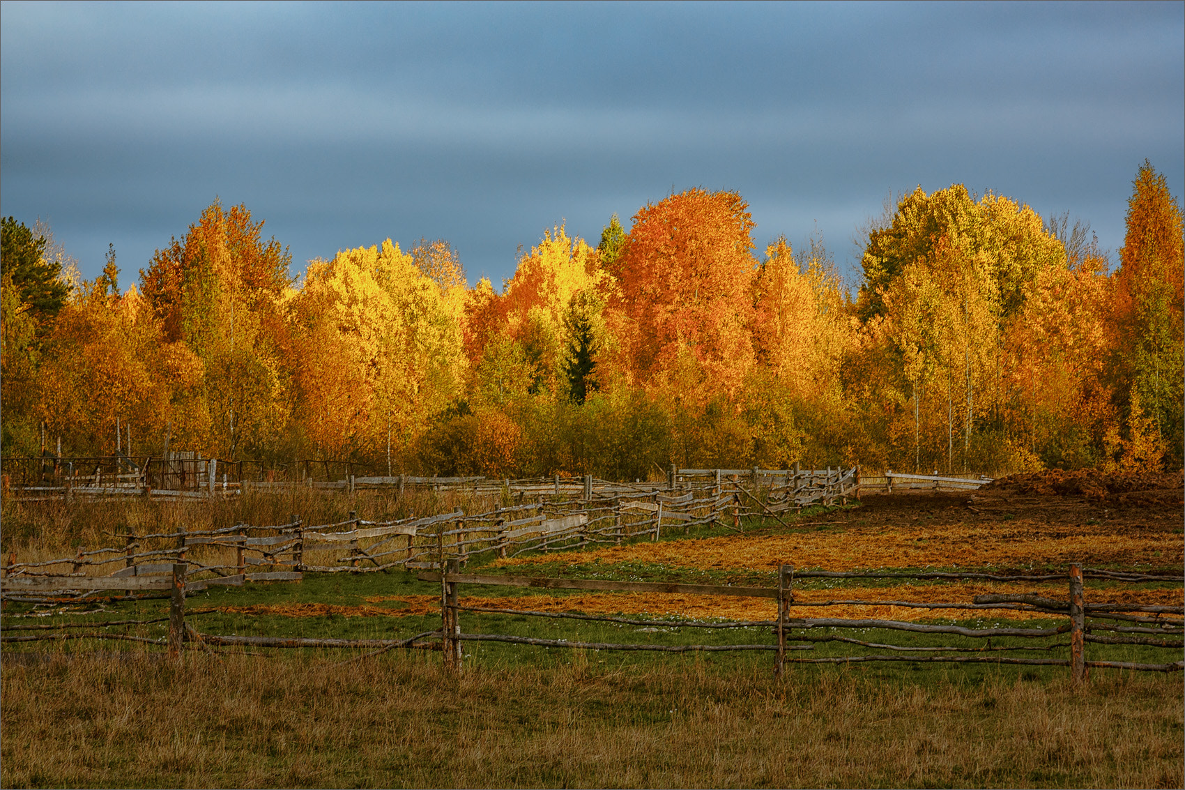 Canon EOS 450D (EOS Rebel XSi / EOS Kiss X2) + Canon EF 24-105mm F4L IS USM sample photo. The colors of autumn... photography