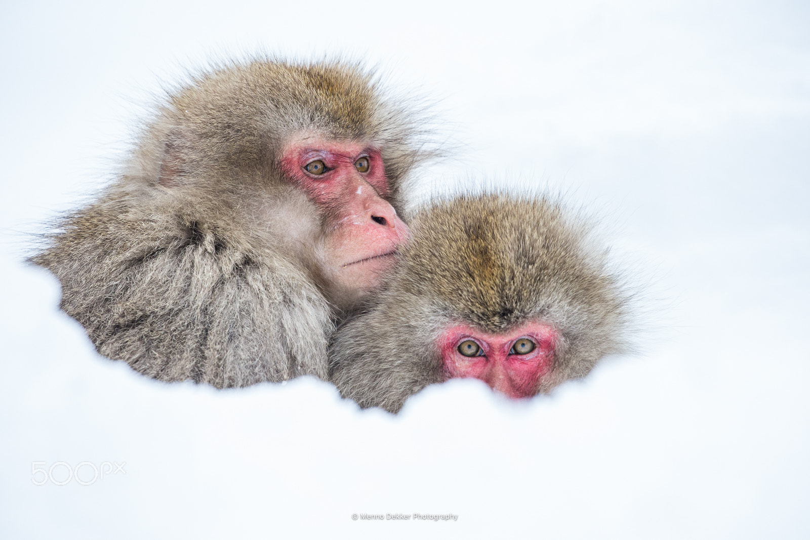 Canon EOS-1D X sample photo. The lovely couple…. photography