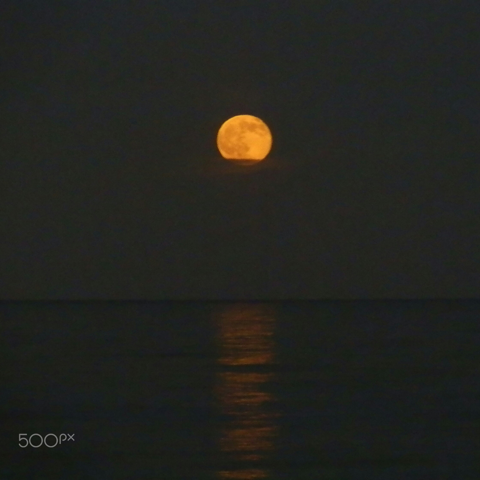 Olympus SP-610UZ sample photo. Full moon rising photography