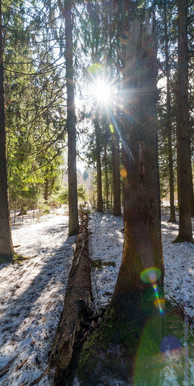 Sony Vario-Sonnar T* 16-35mm F2.8 ZA SSM sample photo. *** photography