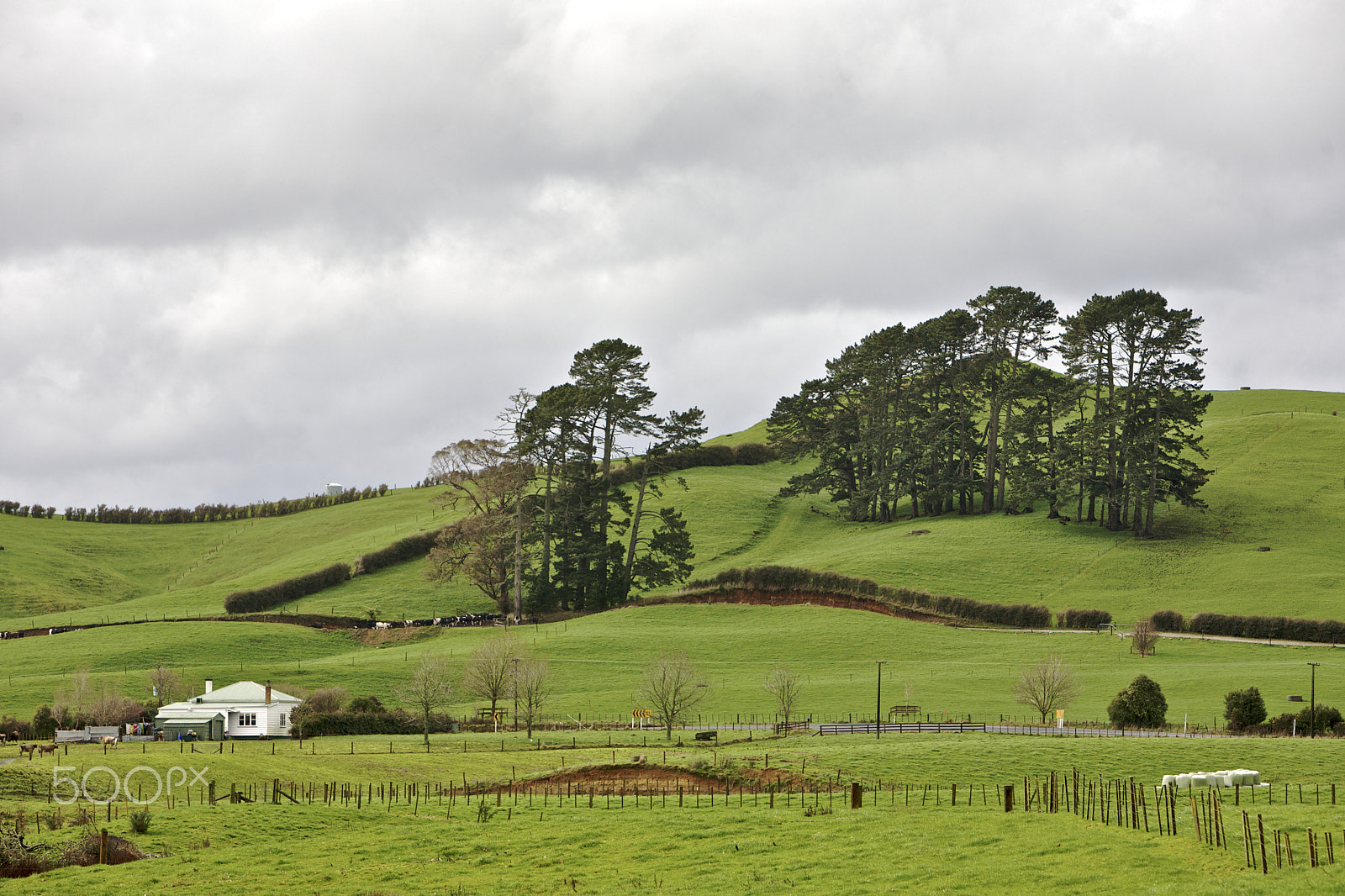 Canon EOS 5D sample photo. Rolling hills of new zealand photography
