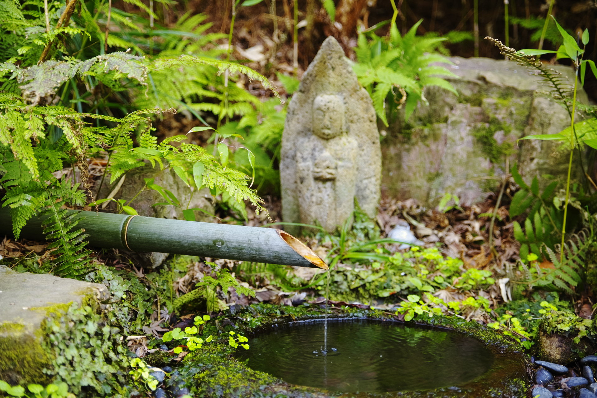 Pentax K-1 + HD Pentax D FA 24-70mm F2.8 ED SDM WR sample photo. The japanese water bowl photography