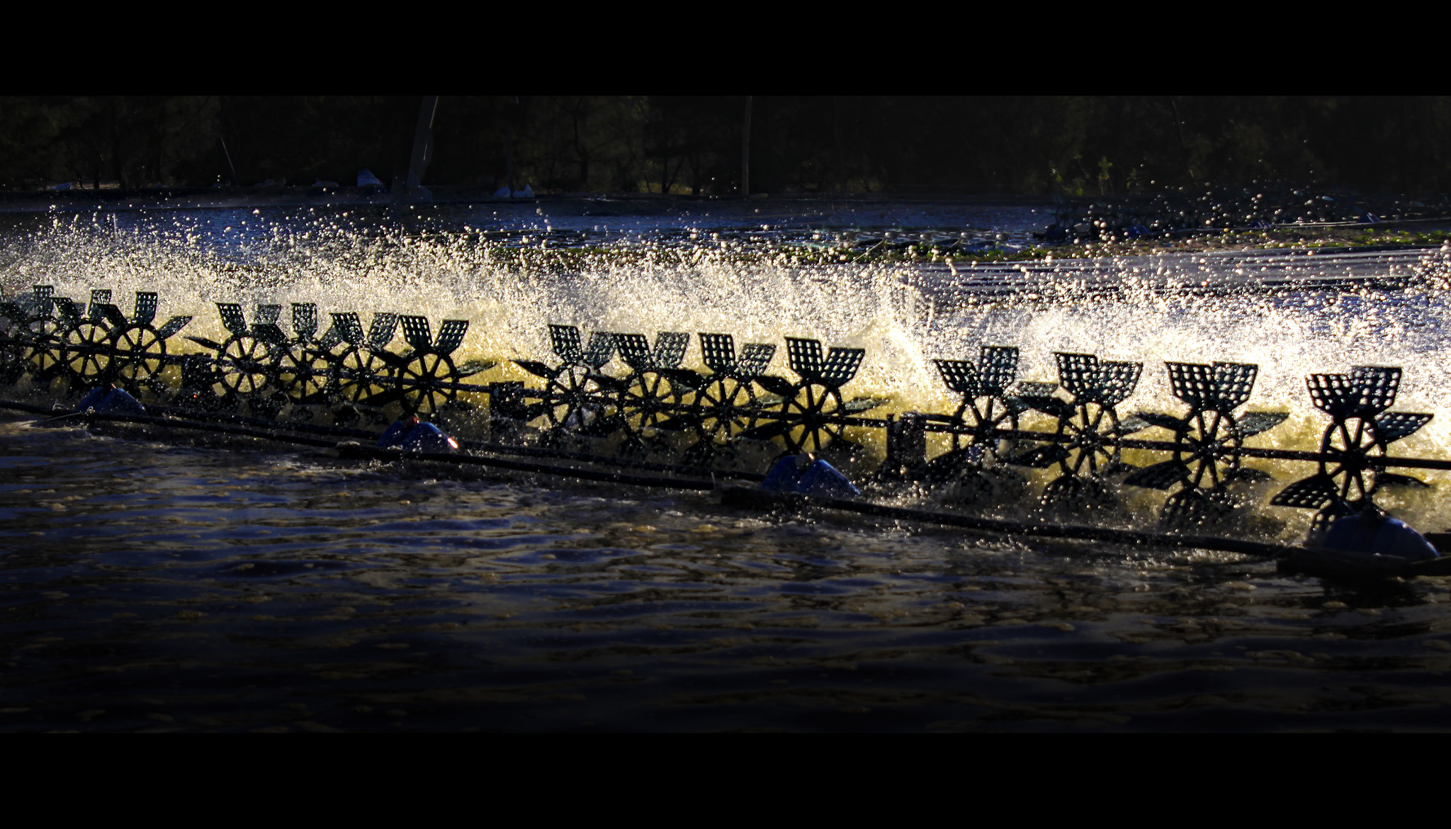 Canon EF-S 18-55mm F3.5-5.6 IS sample photo. Shrimp farm photography