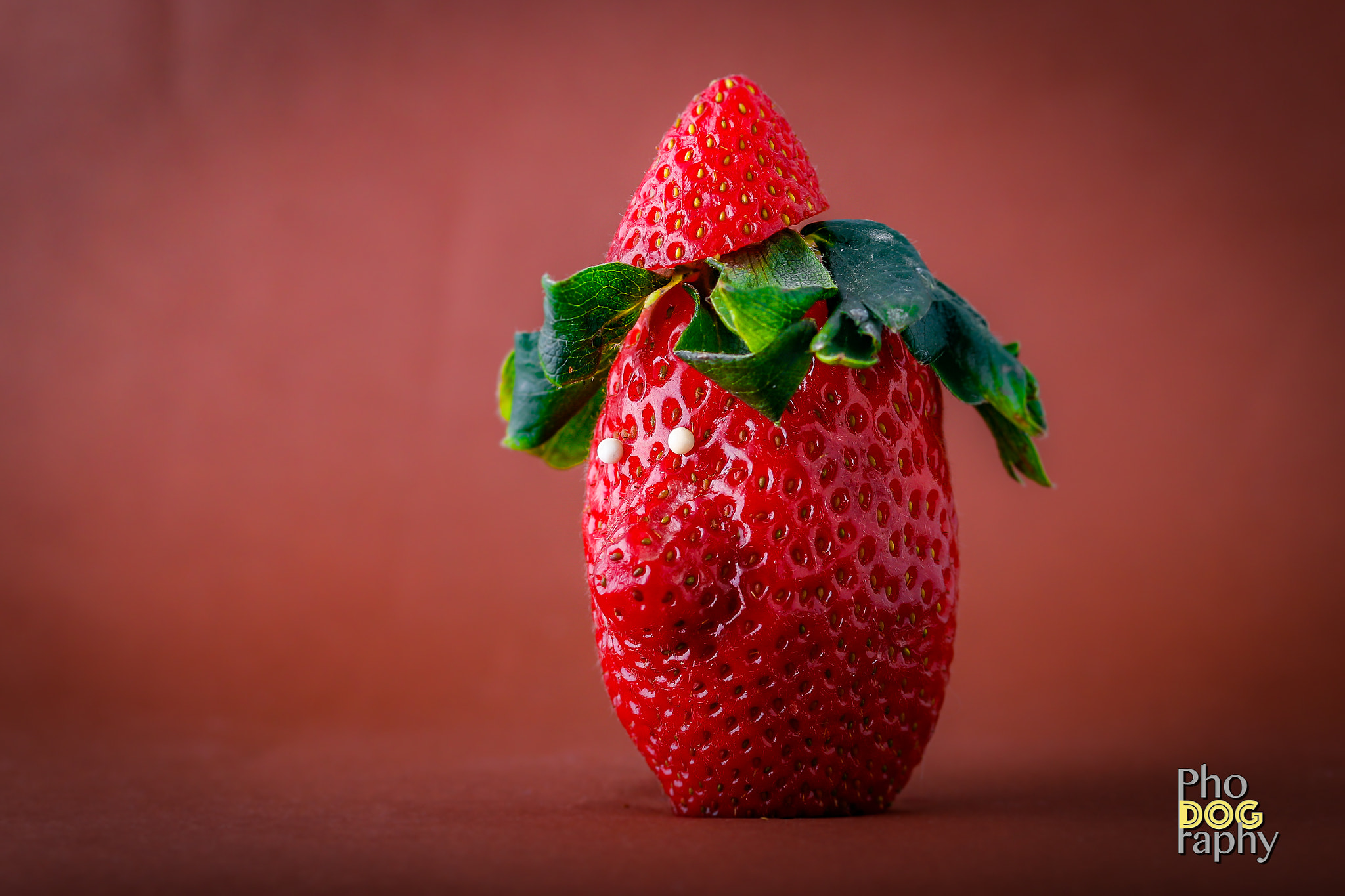 Sigma 105mm F2.8 EX DG OS HSM sample photo. Mr. strawberry photography