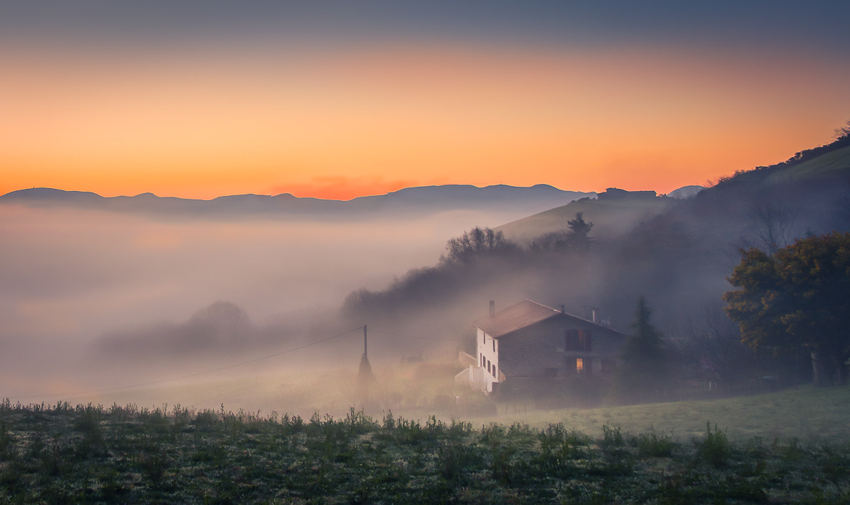Sigma 17-50mm F2.8 EX DC OS HSM sample photo. Lost in the mist! photography