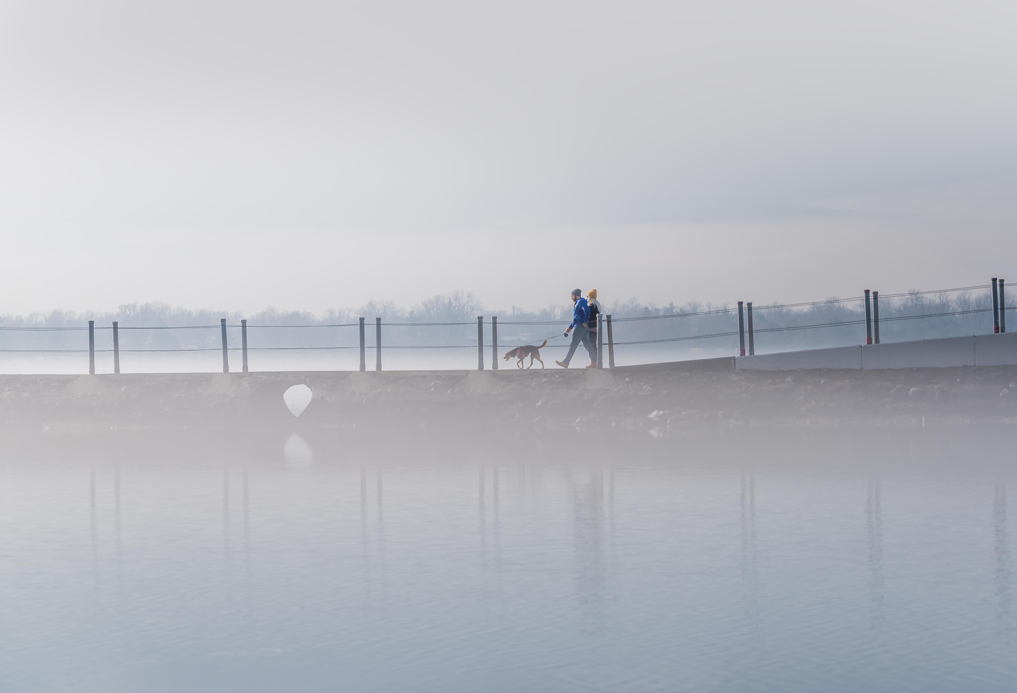 Sigma 150-600mm F5-6.3 DG OS HSM | C sample photo. Ace photography