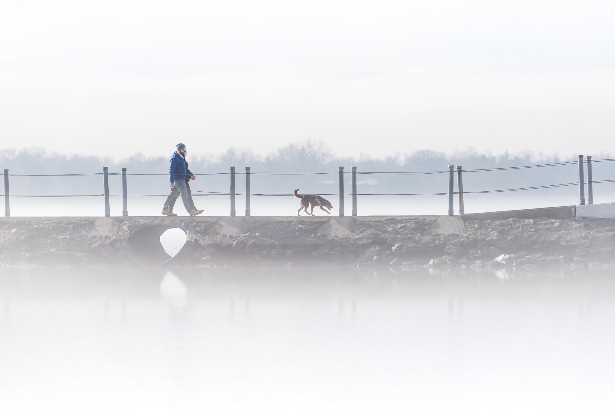 Sigma 150-600mm F5-6.3 DG OS HSM | C sample photo. Ace photography