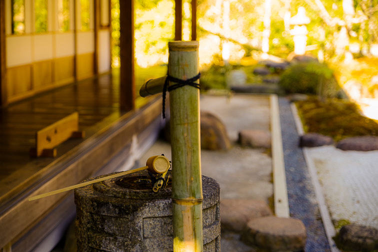 Pentax K-1 sample photo. The japanese water bowl ２ photography