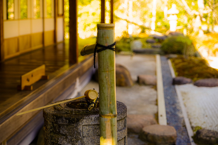 Pentax K-1 + HD Pentax D FA 24-70mm F2.8 ED SDM WR sample photo. The japanese water bowl ２ photography