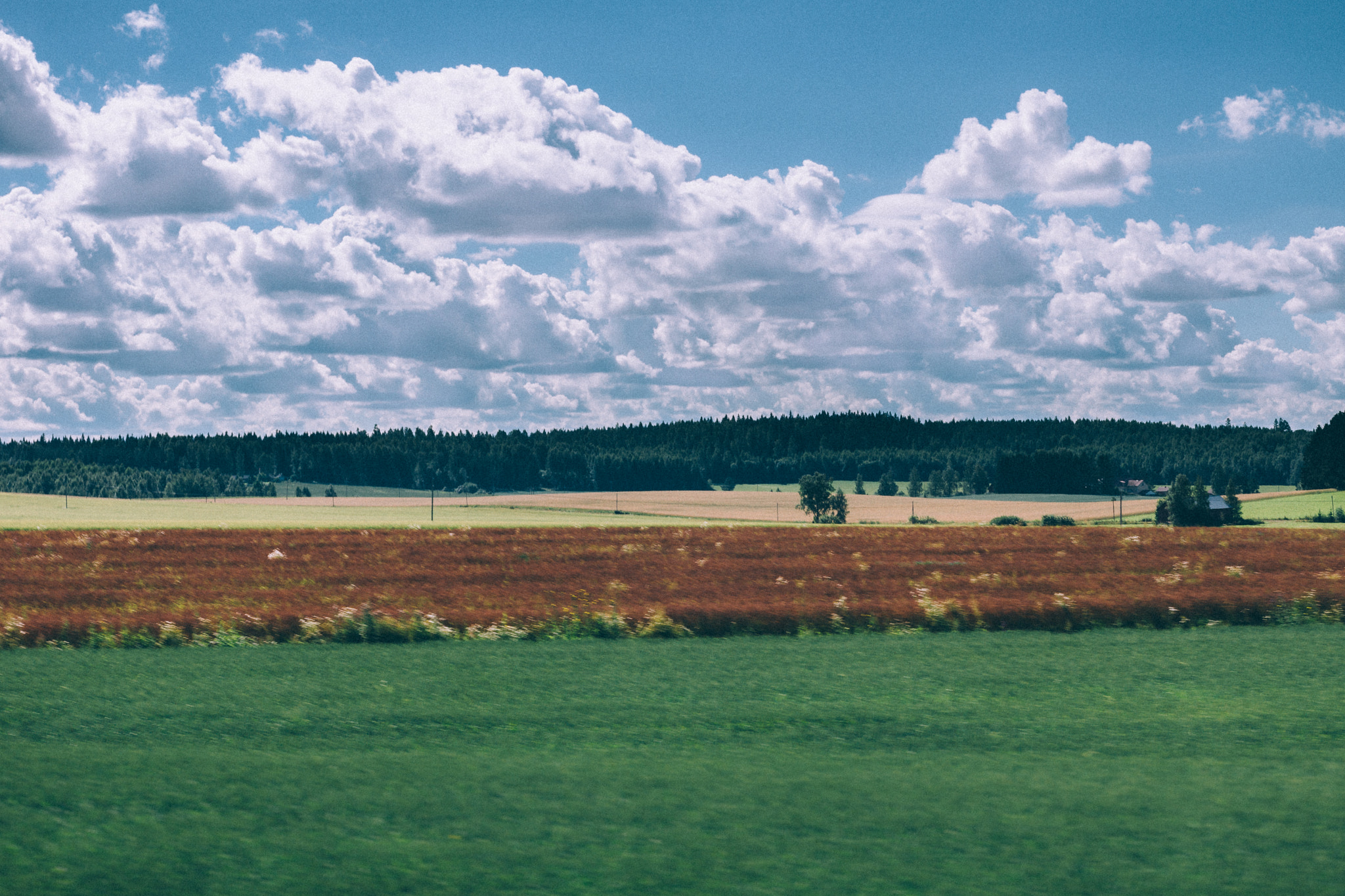 Sony SLT-A77 + Tamron SP 24-70mm F2.8 Di VC USD sample photo. Summer breeze photography