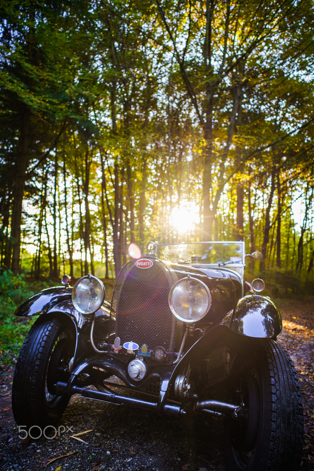 E 21mm F2.8 sample photo. Oldtimer bugatti in the woods photography
