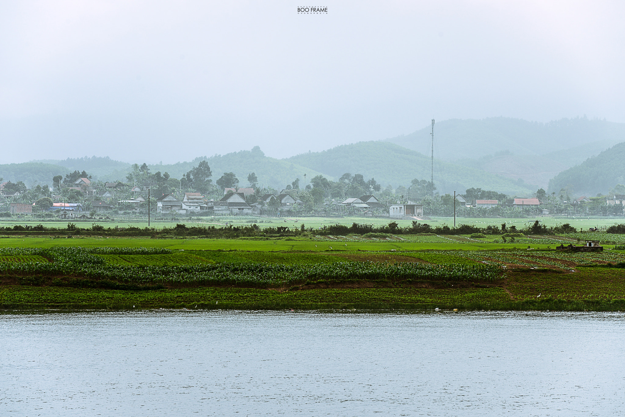Nikon AF-S Nikkor 70-200mm F2.8G ED VR II sample photo. Dsc photography