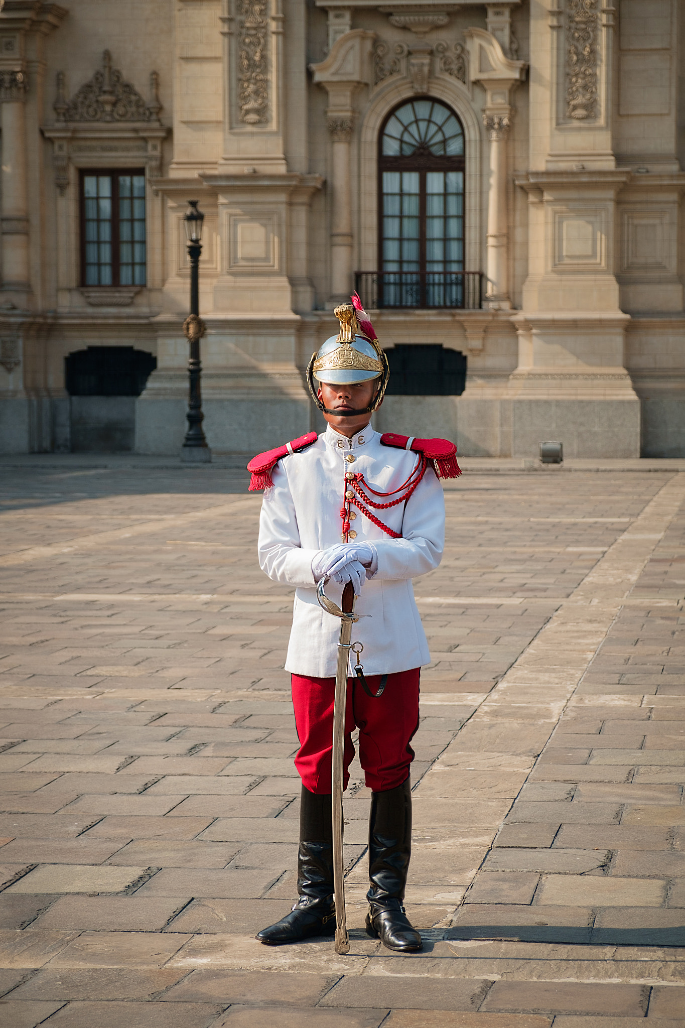 Fujifilm X-E1 + Fujifilm XF 18-55mm F2.8-4 R LM OIS sample photo. Guardia de honor (honor guard) photography