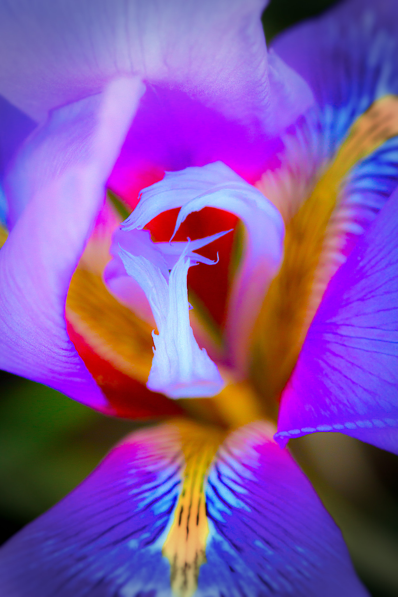 Canon EF 100mm F2.8 Macro USM sample photo