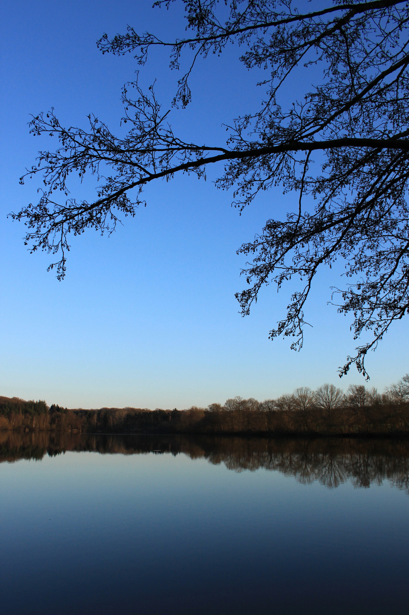 Canon EOS 500D (EOS Rebel T1i / EOS Kiss X3) sample photo. La trappe en bleu photography