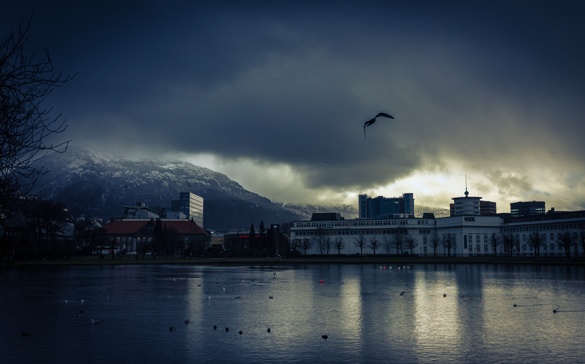 Sony a7 II + Sony Sonnar T* FE 35mm F2.8 ZA sample photo. Before rain photography
