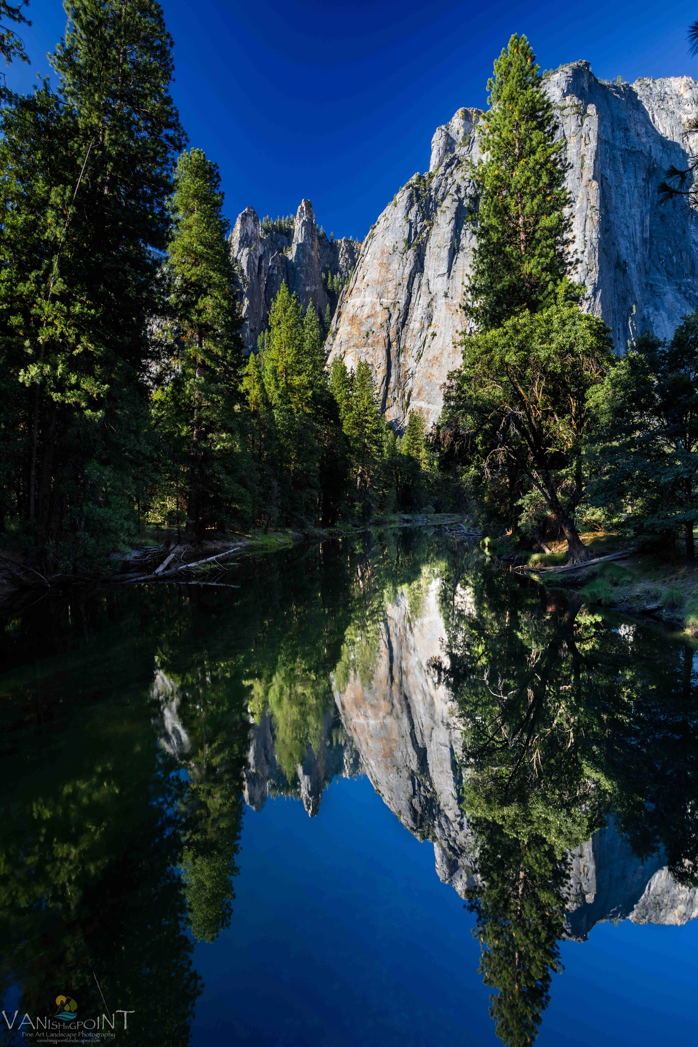 Canon EOS 5DS R + Canon EF 17-40mm F4L USM sample photo. Yosemite morning photography