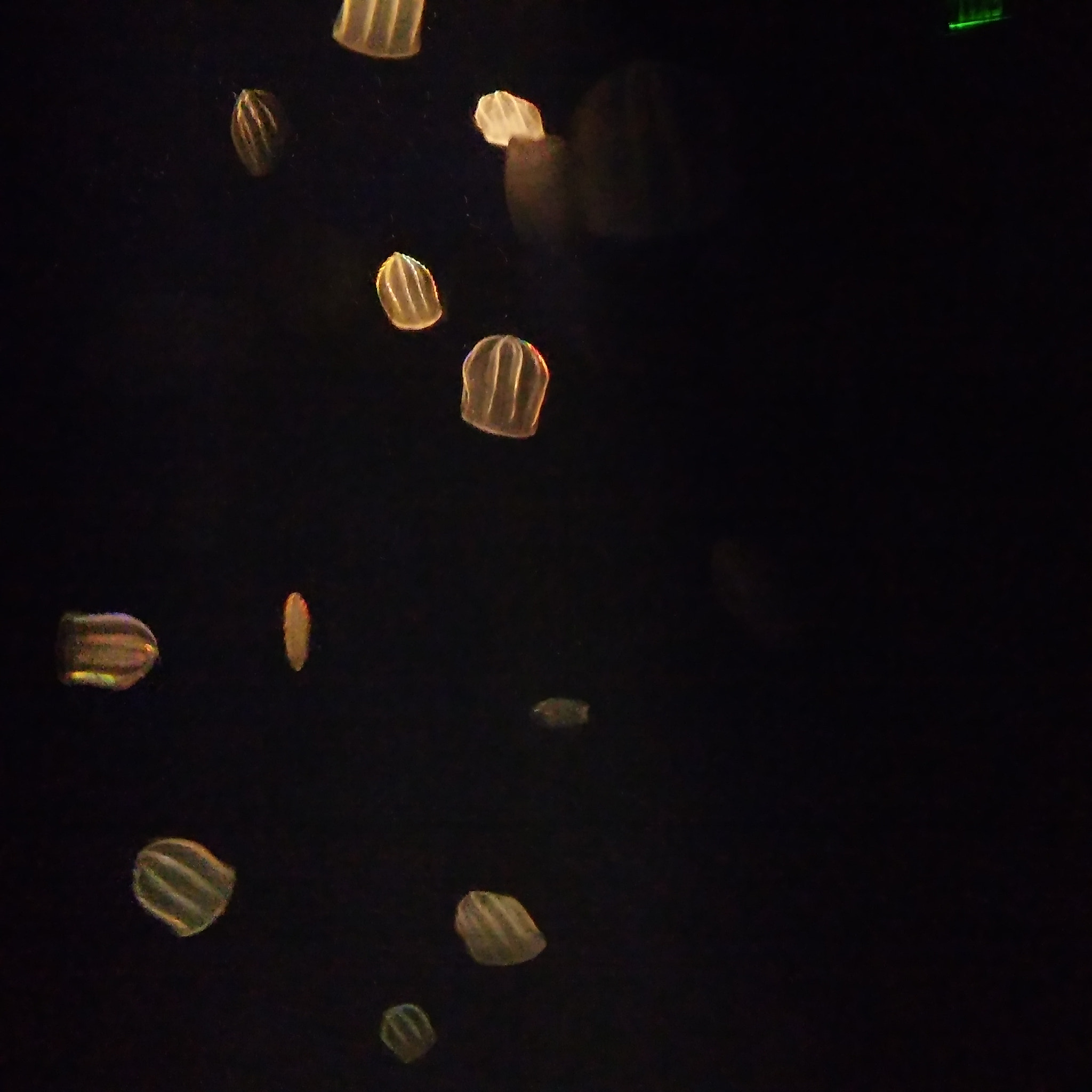 LG G STYLO sample photo. Flowing lights photography