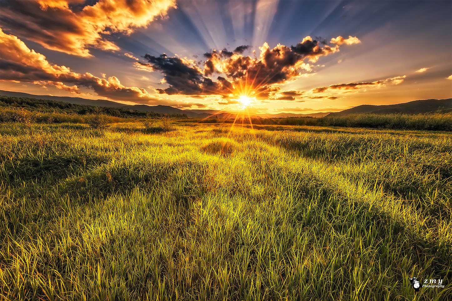 Nikon D3X sample photo. Green grass by the river photography