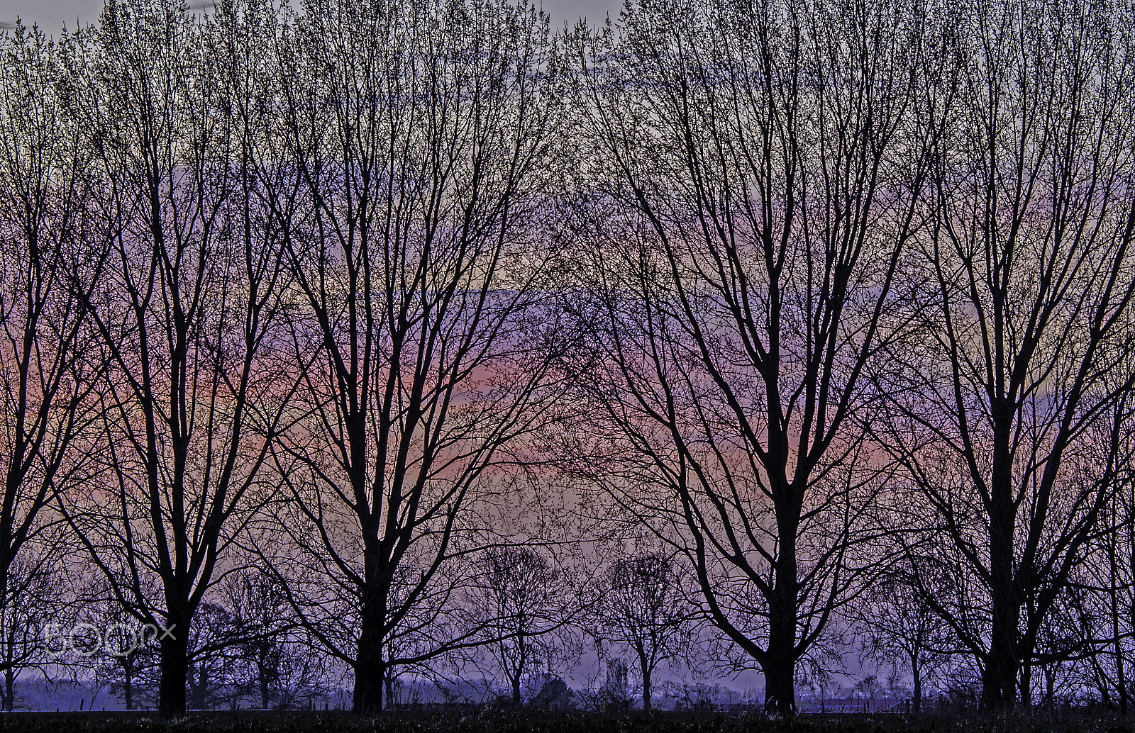 Olympus OM-D E-M10 sample photo. Behind the trees... photography
