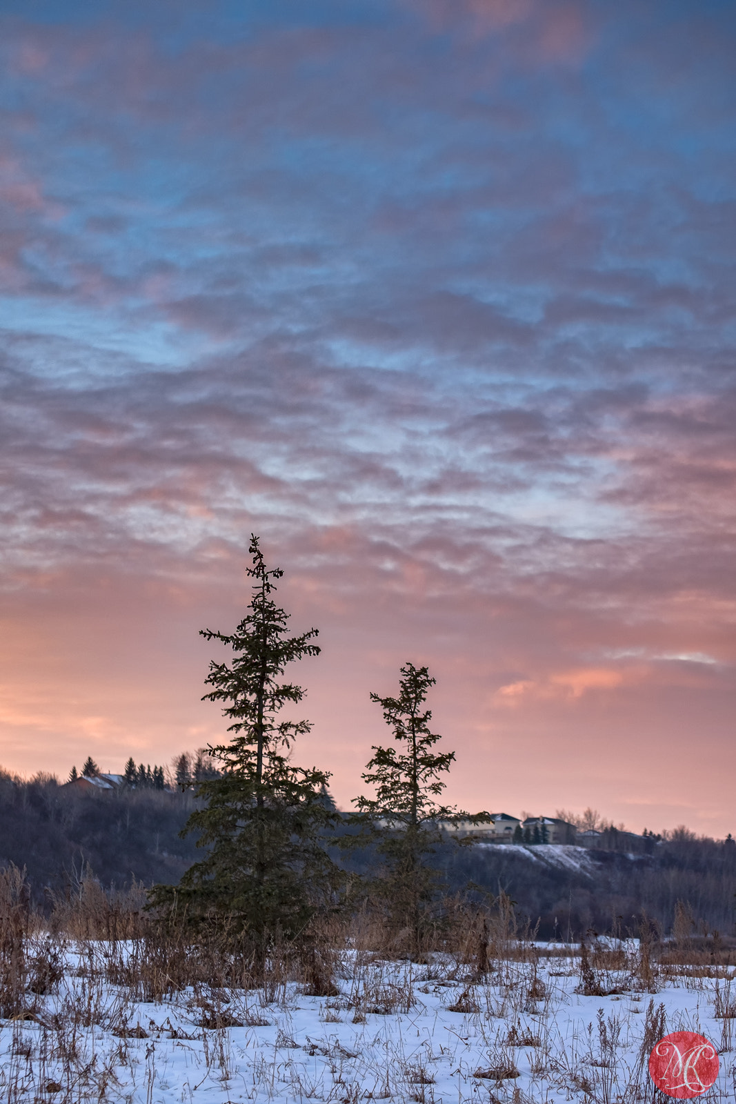 Fujifilm X-E2 + Fujifilm XF 55-200mm F3.5-4.8 R LM OIS sample photo. Park at sunset photography
