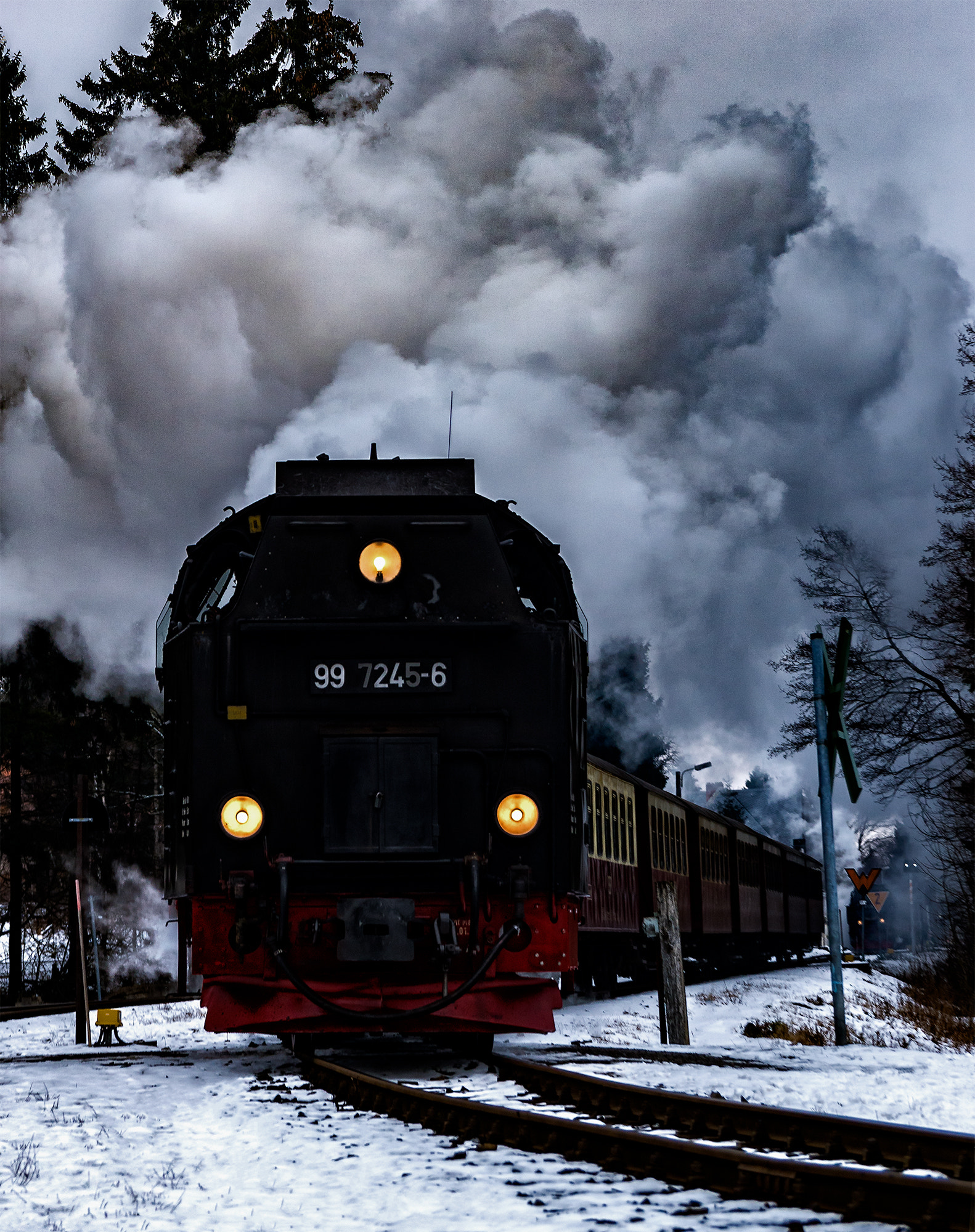 Sony DT 18-135mm F3.5-5.6 SAM sample photo. Brockenbahn photography