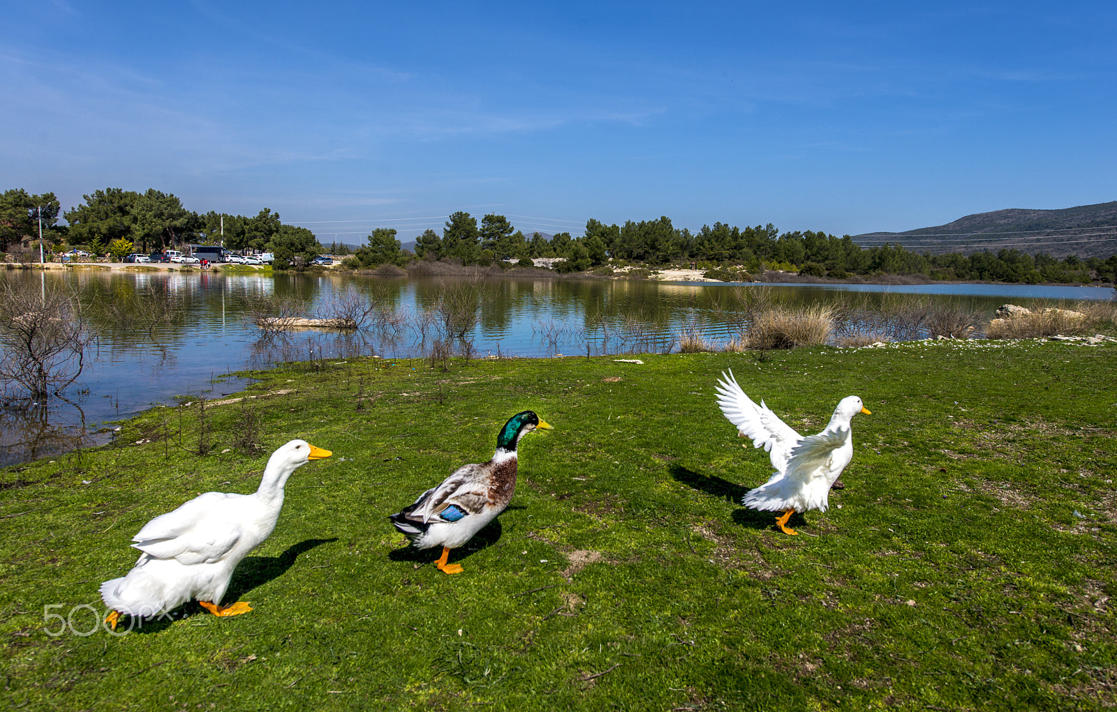 Nikon AF-S Nikkor 14-24mm F2.8G ED sample photo. Kazlar photography