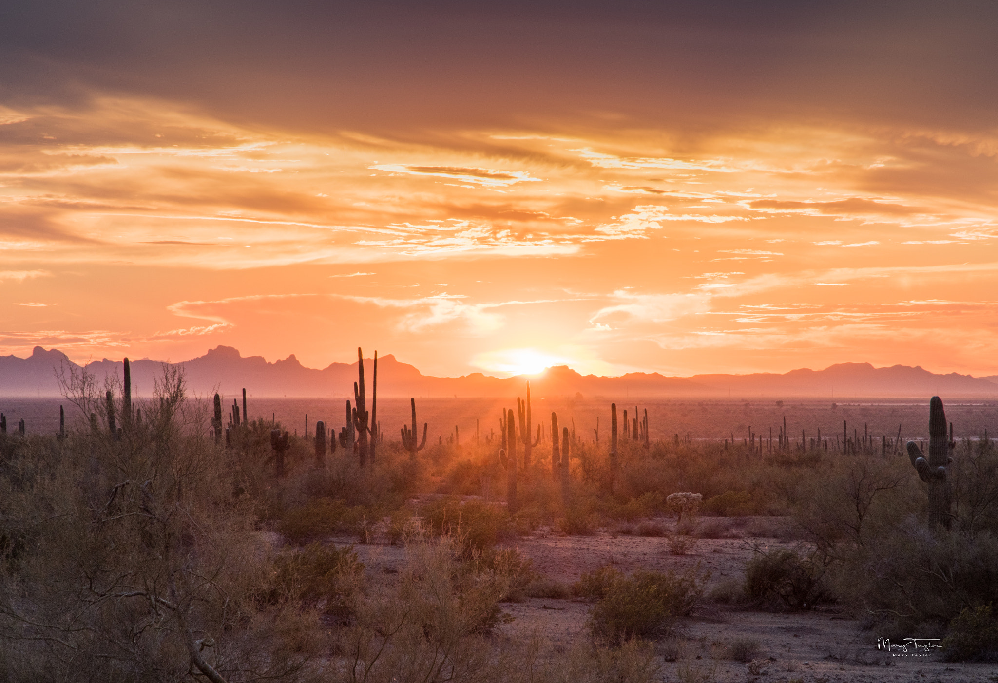 Nikon D810 sample photo. Sunset from picacho peak state park, sunset vista area,  picacho arizona photography