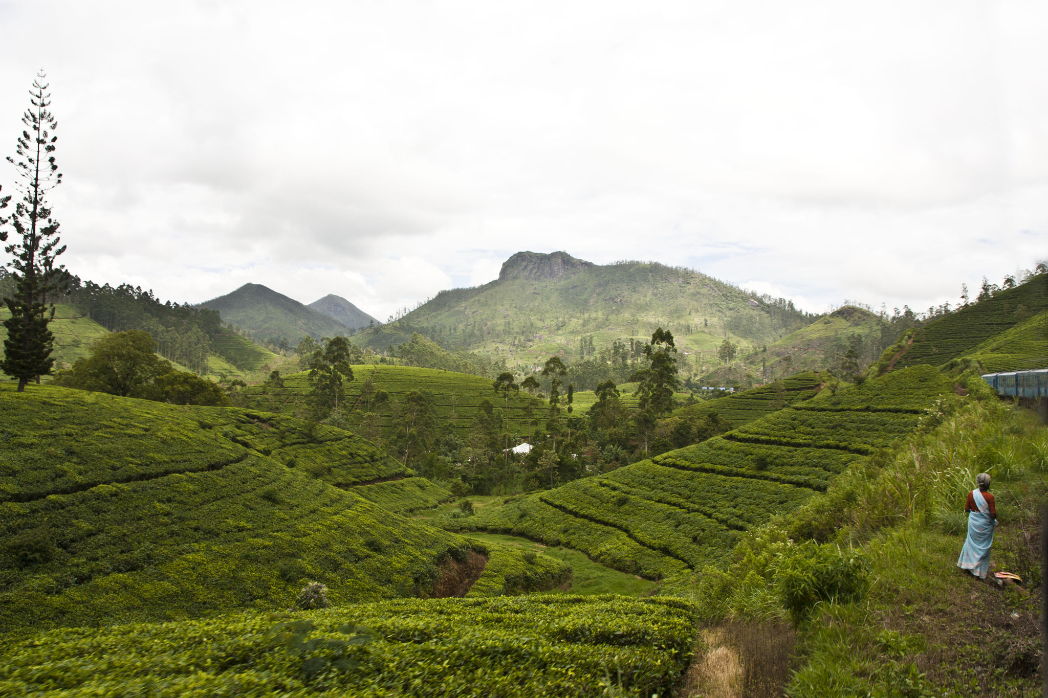 Canon EF-S 17-55mm F2.8 IS USM sample photo. Beauty of sri lanka photography