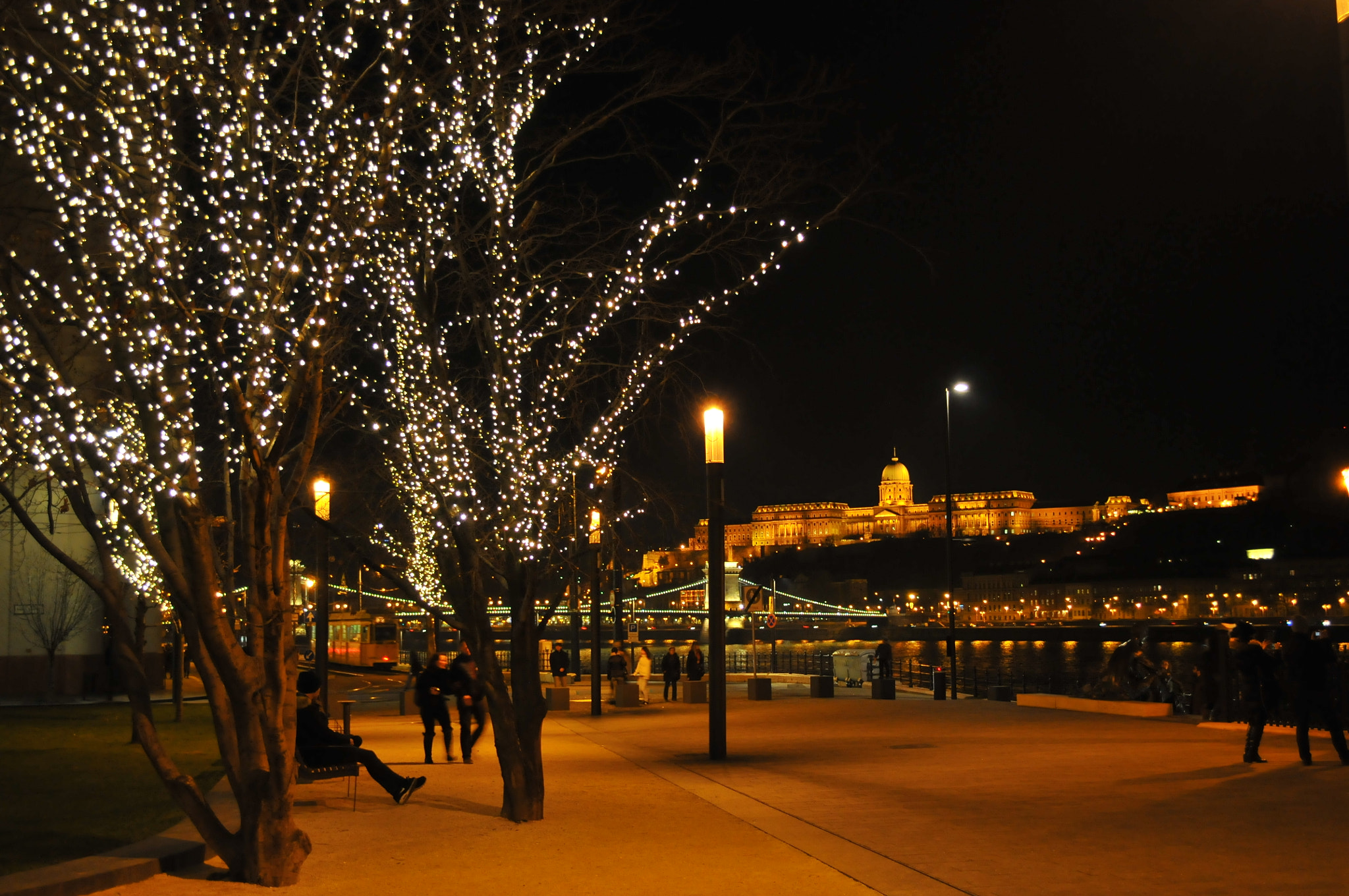 Nikon D300 sample photo. Budapest christmas photography