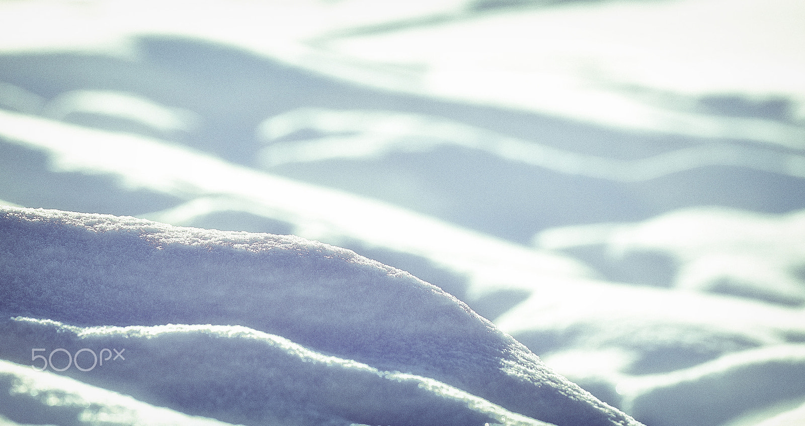 Canon EF 70-200mm F4L IS USM sample photo. Only snow photography