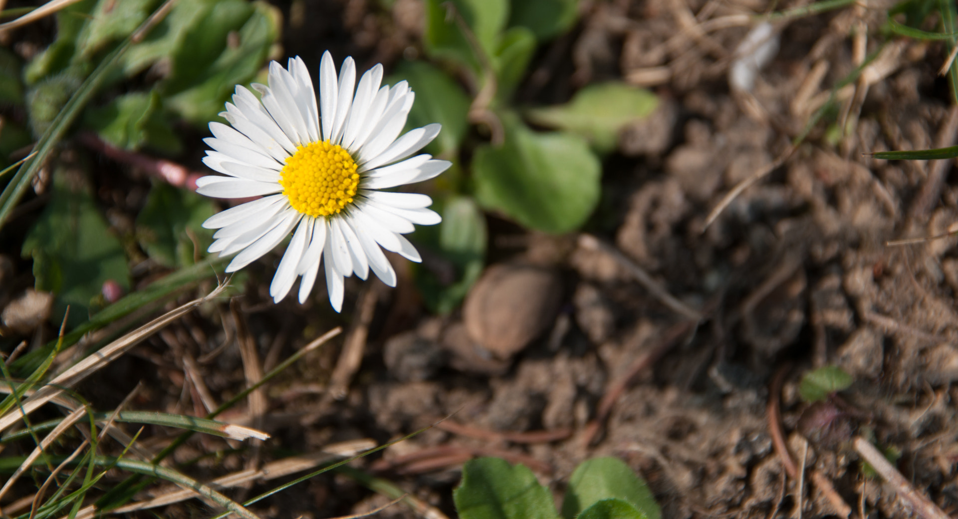 Nikon D300 + Sigma 18-200mm F3.5-6.3 DC OS HSM sample photo