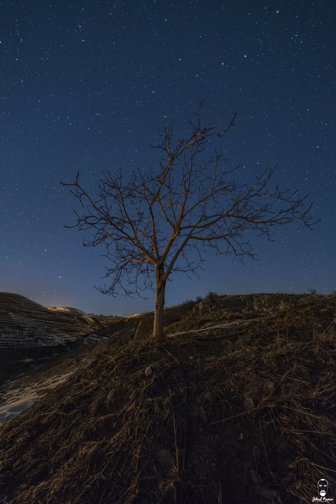 Nikon D750 + Samyang 14mm F2.8 ED AS IF UMC sample photo. I am groot - lebanon photography