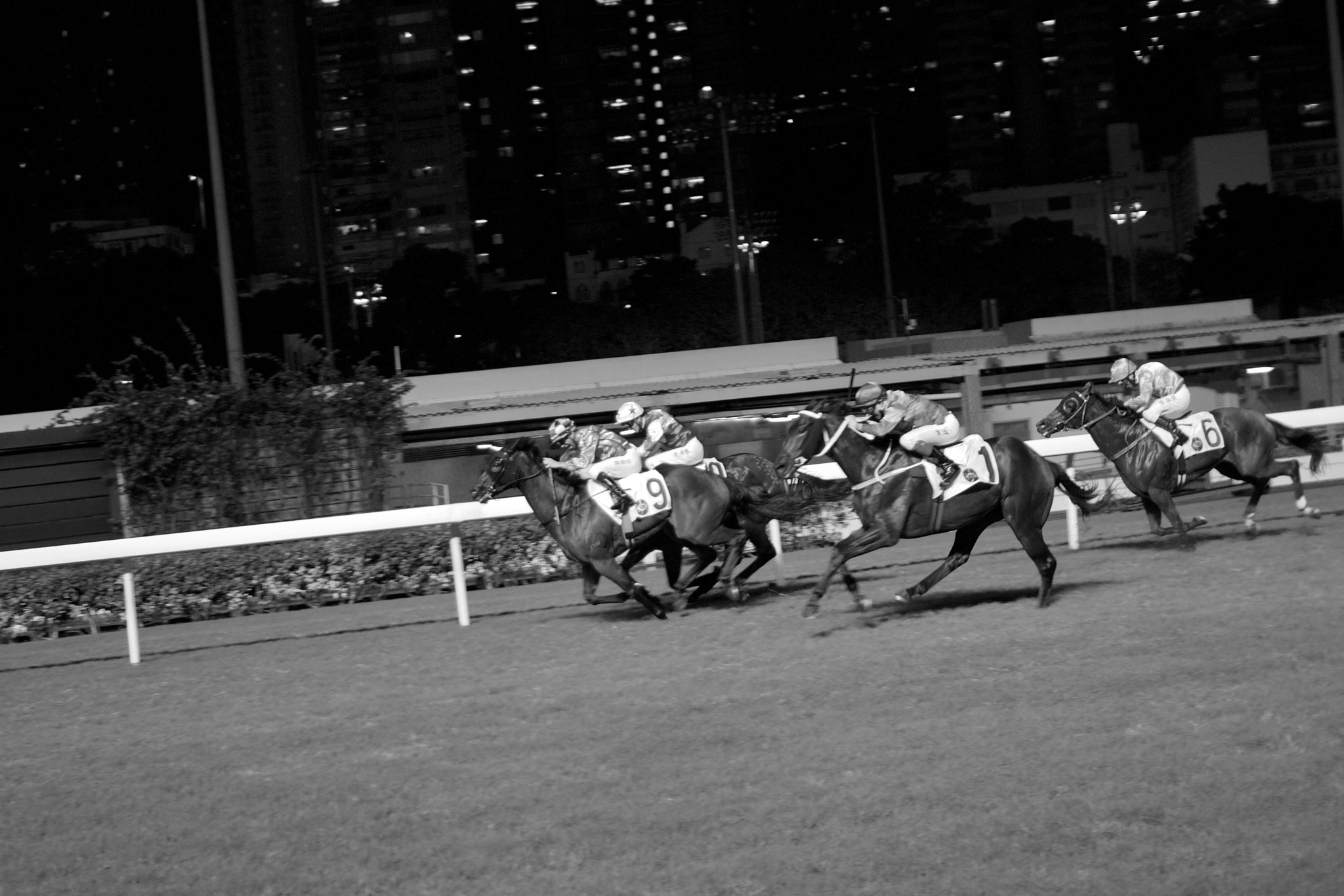 Sigma 30mm F1.4 EX DC HSM sample photo. Hk δ photography