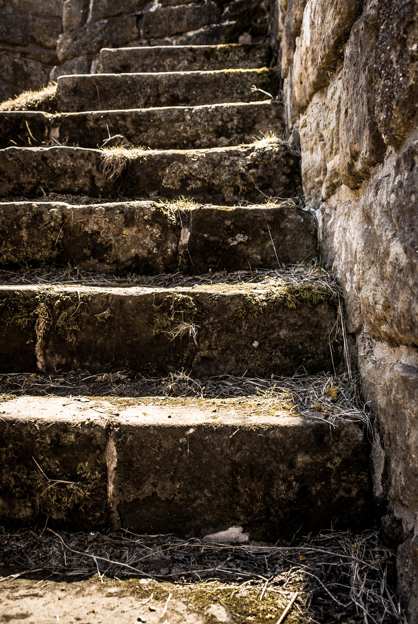 Sony Alpha DSLR-A330 sample photo. Stairway to heaven photography